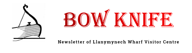 Bow Knife Logo