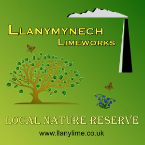 Llanymynech Limeworks LNR Logo